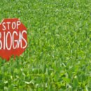 L’imprenditore mascherato e lo strano caso della centrale Biogas fantasma